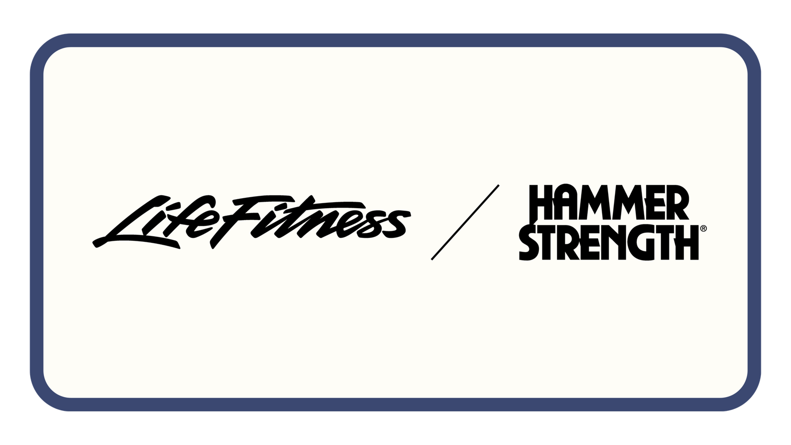 Life Fitness / Hammer Strength